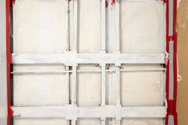 Best Industrial Mold Remediation  in Occidental, CA