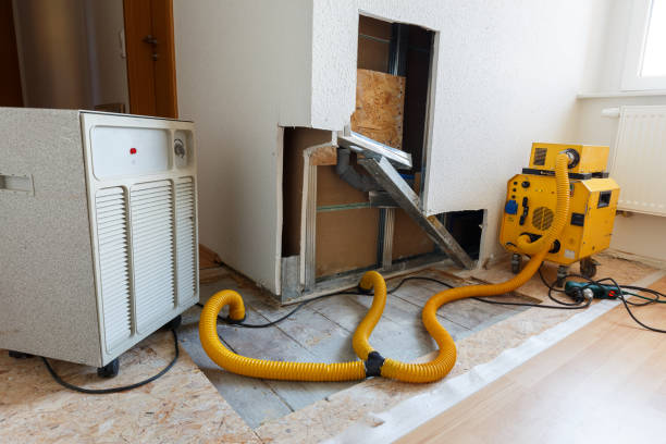 Mold Removal for HVAC Installations in Occidental, CA