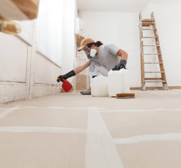 Best Mold Removal for HVAC Installations  in Occidental, CA