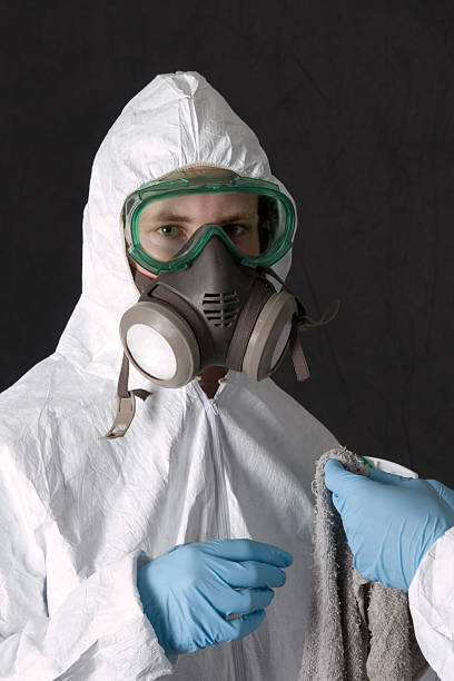 Best Asbestos and Lead Testing During Mold Inspection  in Occidental, CA